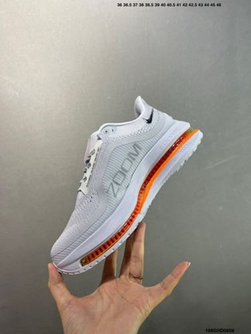 Nikee Air Zoom Pegasus Premium Airscape